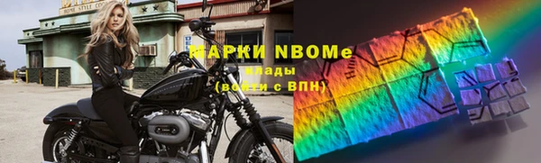 стаф Аркадак